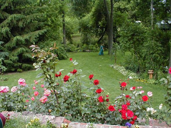 Dorchester House Bed and Breakfast Niagara Falls Eksteriør billede