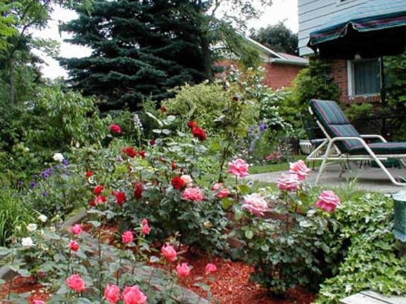 Dorchester House Bed and Breakfast Niagara Falls Eksteriør billede